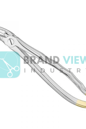 Extracting Forceps