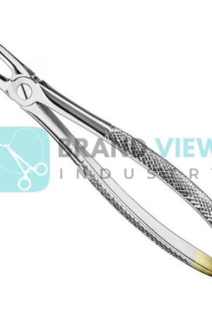 Extracting Forceps